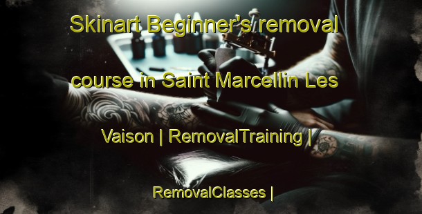 Skinart Beginner's removal course in Saint Marcellin Les Vaison | RemovalTraining | RemovalClasses | SkinartTraining-France